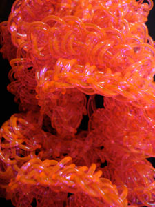 Crochet Coral Reef CloseUp Jelly Yarn Winter Garden NYC May 2008